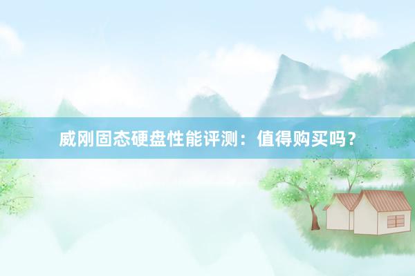威刚固态硬盘性能评测：值得购买吗？