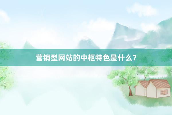 营销型网站的中枢特色是什么？