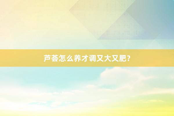 芦荟怎么养才调又大又肥？